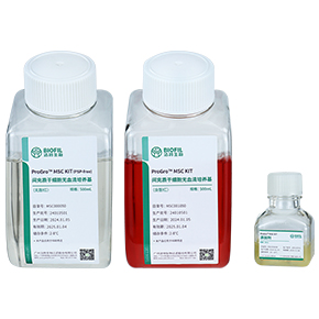 ProGro? MSC KIT間充質(zhì)干細胞無血清培養(yǎng)試劑盒